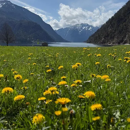 아파트 Stiedlhof *